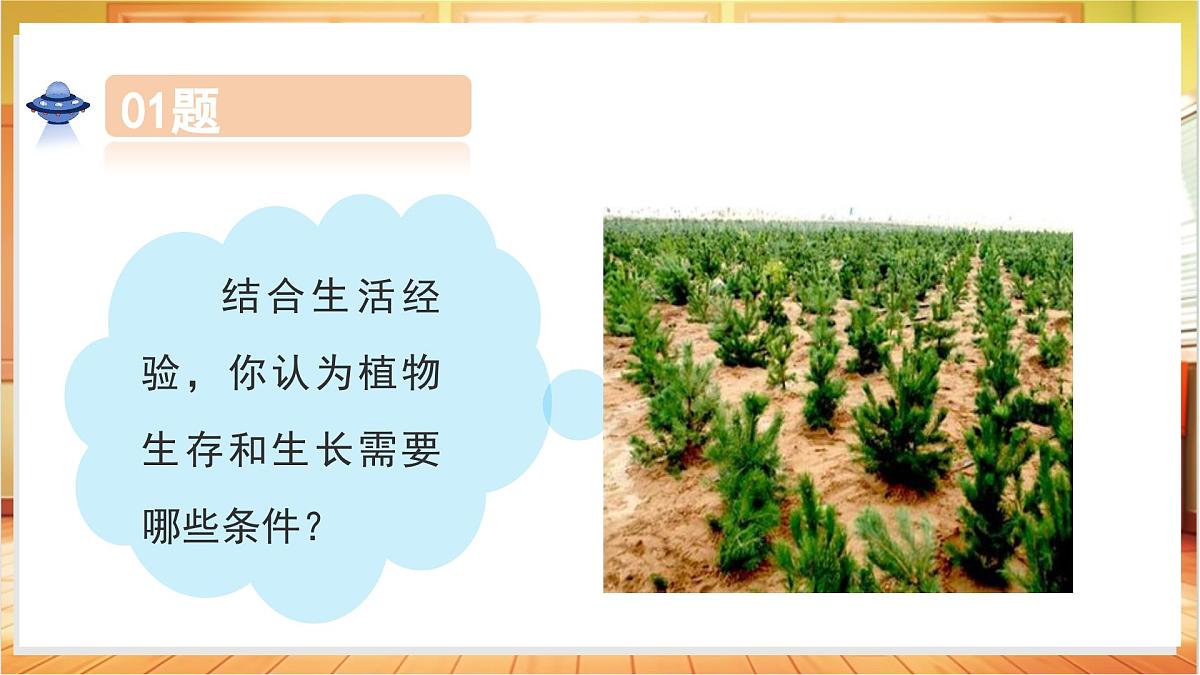 1.2 植物需要什么（教学课件）科学粤教粤科版三年级上册（新教材）第6页