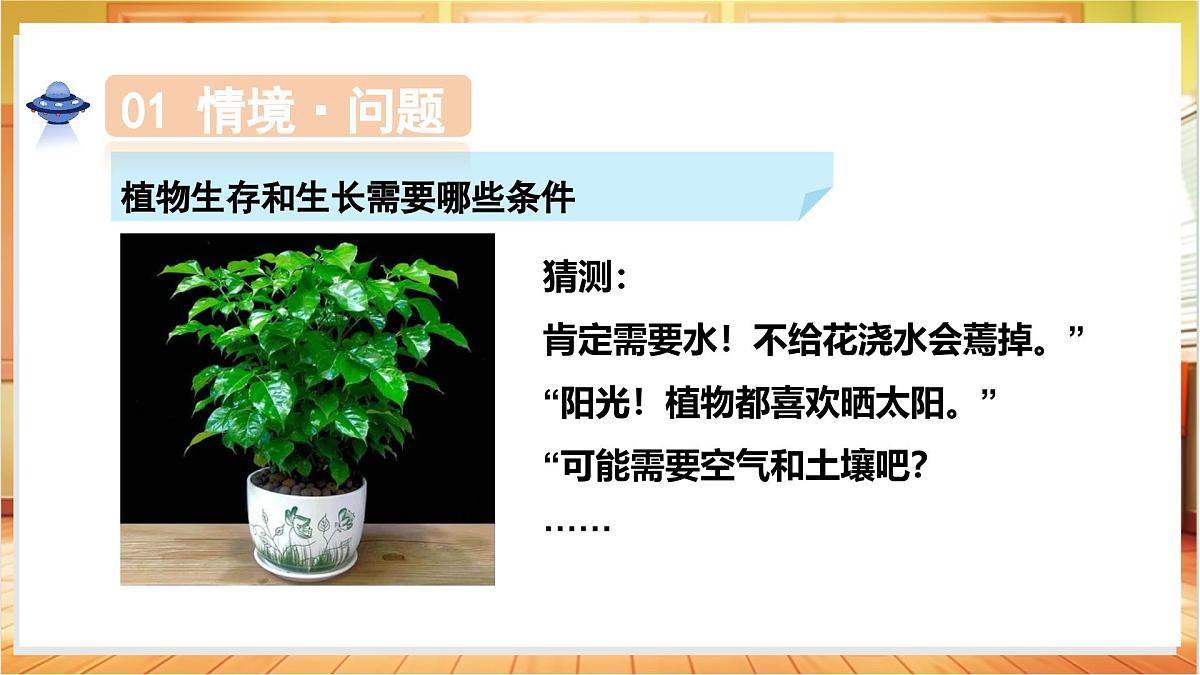 1.2 植物需要什么（教学课件）科学粤教粤科版三年级上册（新教材）第7页