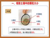 新教材蘇教版小學科學三上第一單元《2 不同的土壤》課件+教案+視頻+作業(yè)