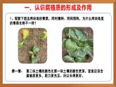 新教材蘇教版小學科學三上第一單元《3 肥沃的土壤》課件+教案+視頻+作業(yè)