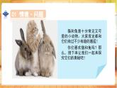【核心素养目标】人教鄂教版一上科学  3.8 猫和兔（课件+教学设计+分层作业）