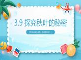 【大单元核心素养】苏教版科学一上3.9《探究秋叶的秘密》课件+教案+单元整体设计+素材
