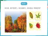 【大单元核心素养】苏教版科学一上3.9《探究秋叶的秘密》课件+教案+单元整体设计+素材
