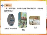 【教學評一體化】大象版科學二年級上冊  1.1《把鹽藏起來》課件+教案