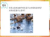 教科版三上科学  2.4 水结冰了（课件+教案）
