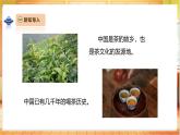 【教學評一體化】大象版科學二年級上冊  1.3《茶葉能溶解嗎》課件+教案表格式