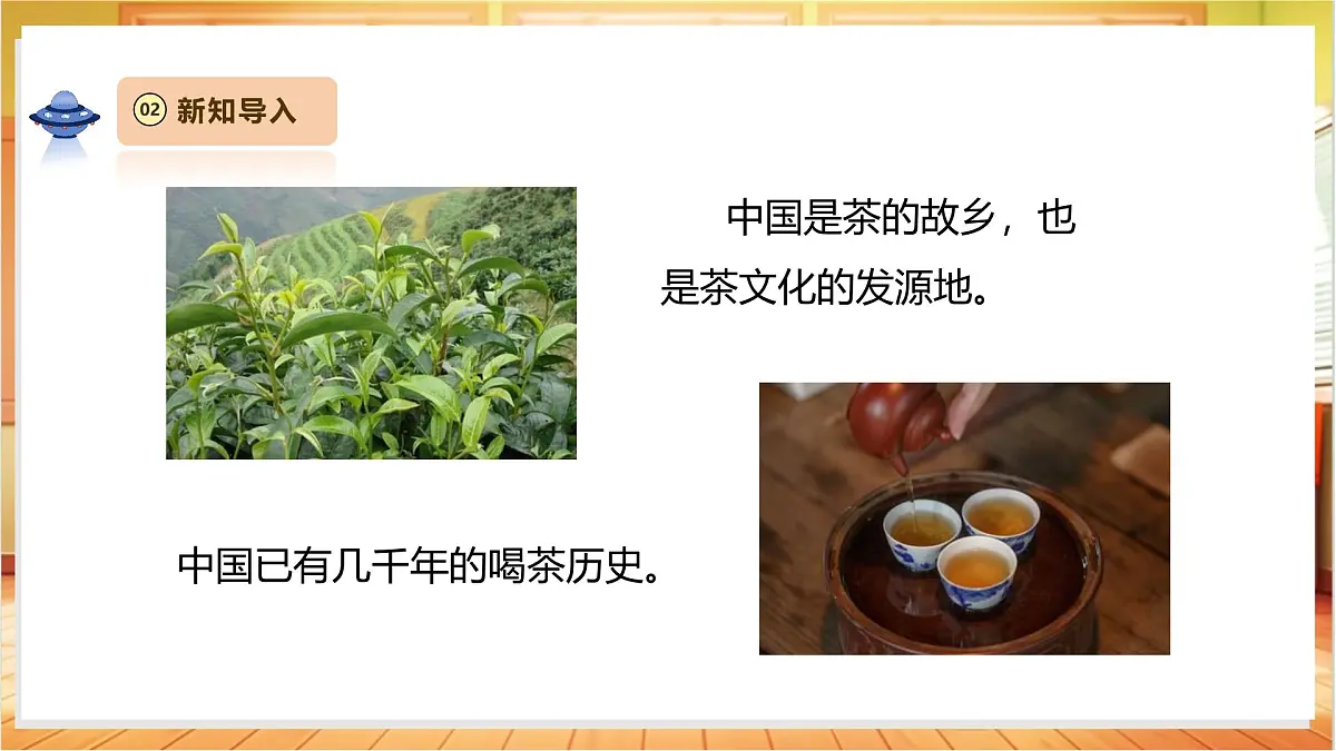 1.3《茶叶能溶解吗》课时课件第4页