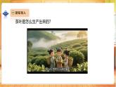 【教學評一體化】大象版科學二年級上冊  1.3《茶葉能溶解嗎》課件+教案表格式