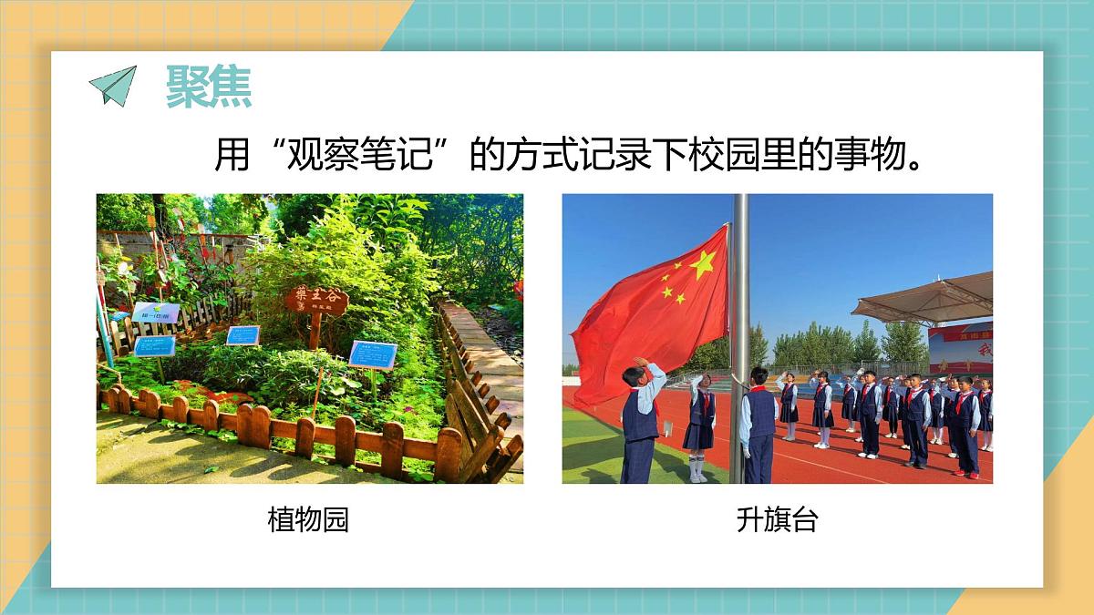 2.2.我们的校园（课件）2026学年教科版二年级科学上册第4页