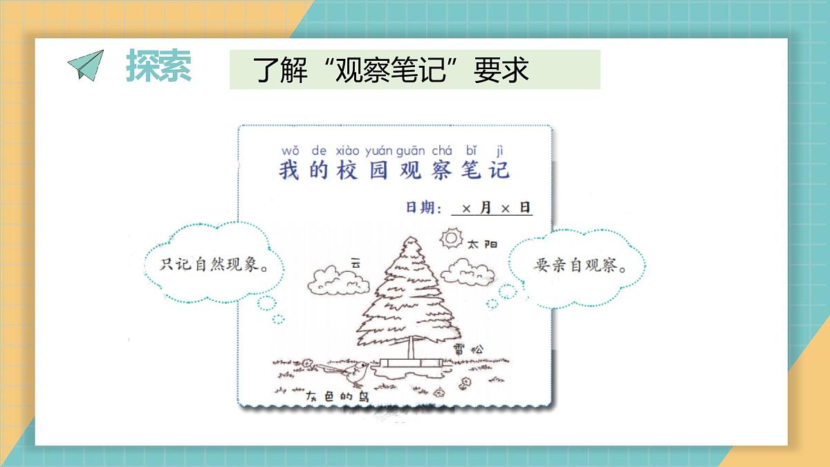 2.2.我们的校园（课件）2026学年教科版二年级科学上册第5页
