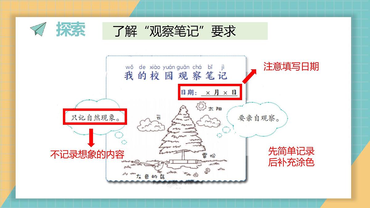 2.2.我们的校园（课件）2026学年教科版二年级科学上册第7页