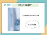 2025年教科版三年级科学上册 《2.2.水珠从哪里来》（课件+教案）