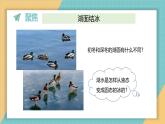 2025年教科版三年级科学上册 《2.4.水结冰了》（课件+教案+素材）