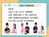2025年教科版三年级科学上册 《2.8.用水分离》（课件+教案）