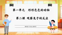 小学科学湘科版(2024)二年级上册(2024)2 观察兔子的反应教学ppt课件
