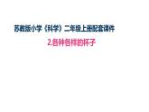 1-2《各种各样的杯子》（表格式教案+课件）2025-2026学年苏教版二年级科学上册