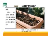 1-1《土壤里有什么》（表格式教案+课件）2025-2026学年苏教版三年级科学上册