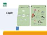 1-1《土壤里有什么》（表格式教案+课件）2025-2026学年苏教版三年级科学上册