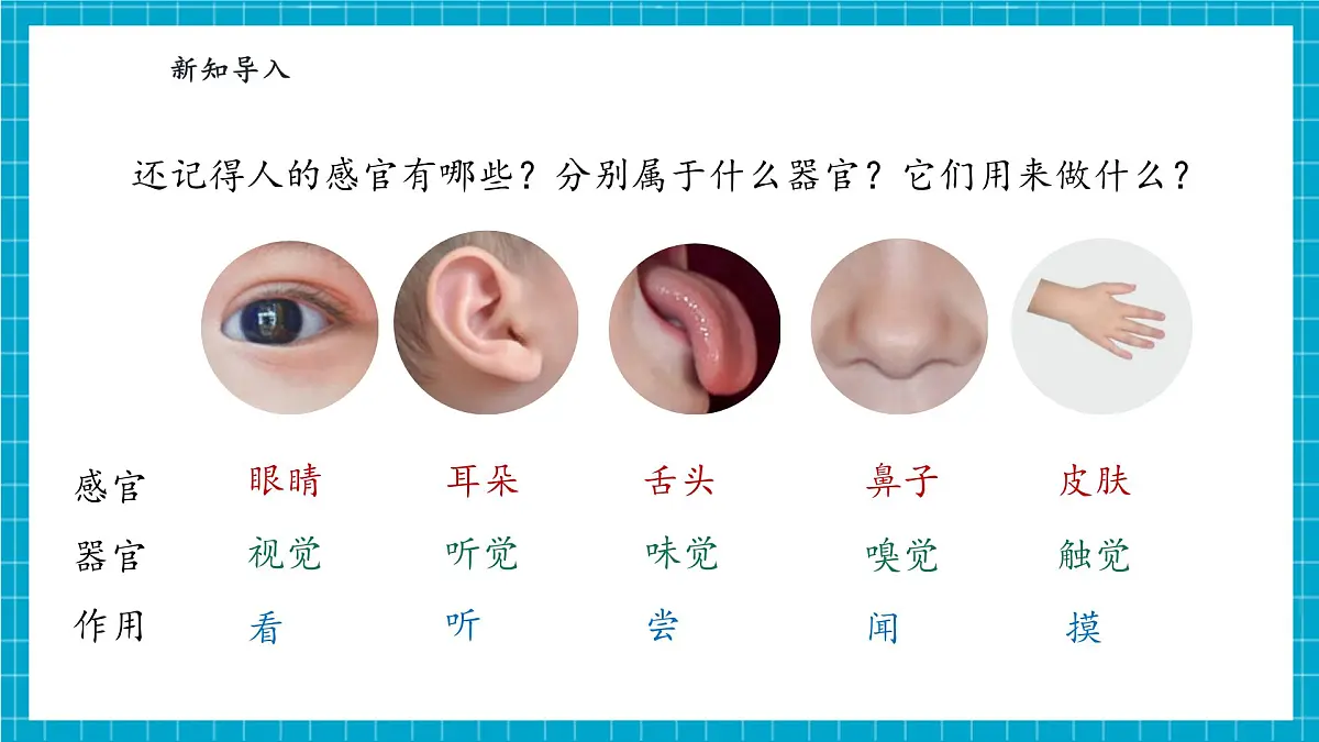 【大单元整体教学】2.5《借助工具观察》课时课件第4页