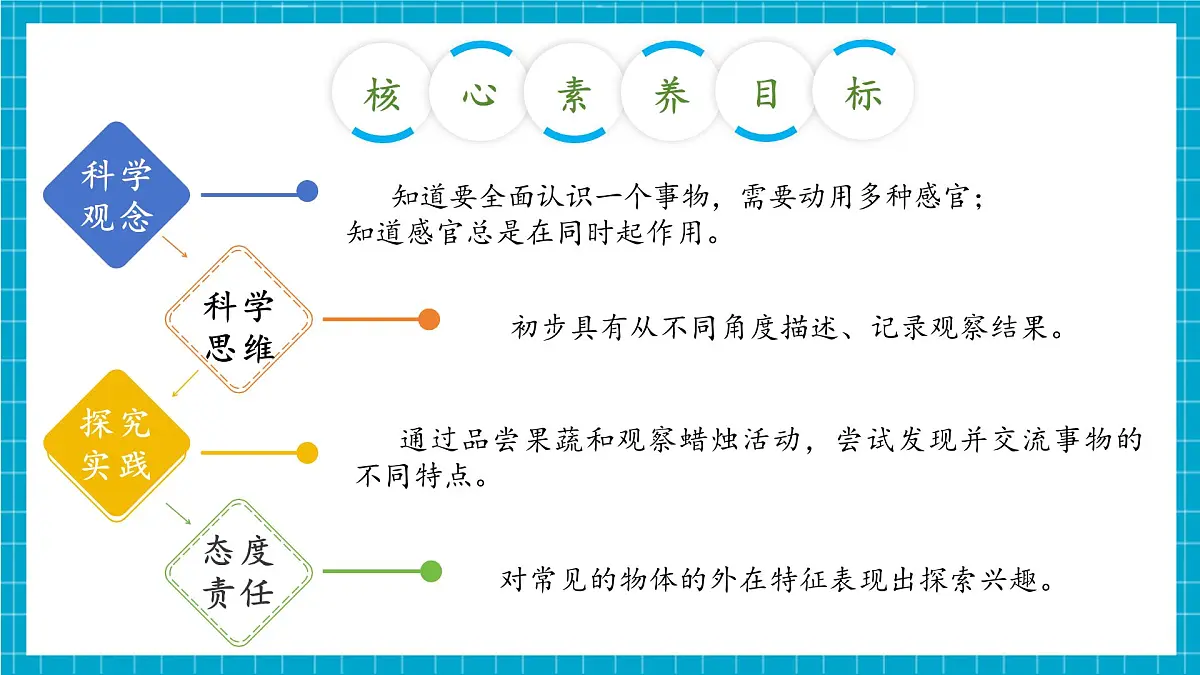 【大单元整体教学】2.6《感官总动员》课时课件第3页