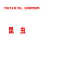 2025年秋湘科版三年级科学上册 3-11 昆虫（课件+教案含练习及答案）