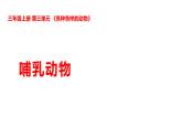 2025年秋湘科版三年级科学上册 3-14 哺乳动物（课件+教案含练习及答案）
