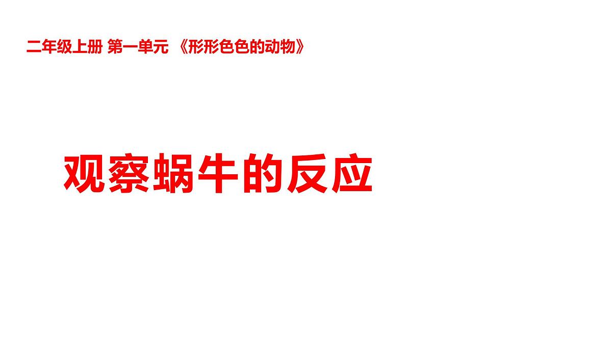 1-3观察蜗牛的反应第1页