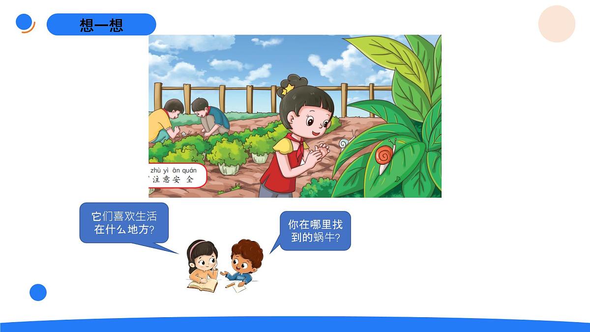 1-3观察蜗牛的反应第2页