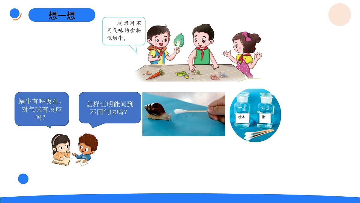 1-3观察蜗牛的反应第4页