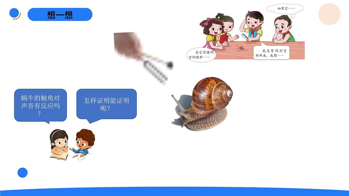 1-3观察蜗牛的反应第5页