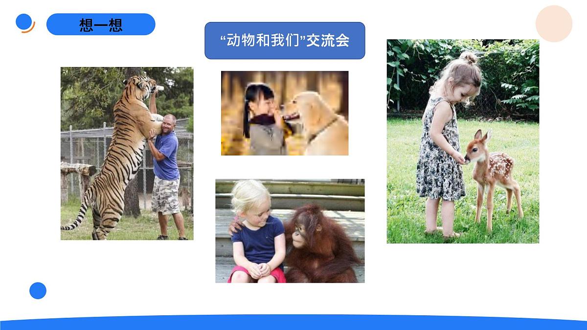 1-4动物和我们第2页