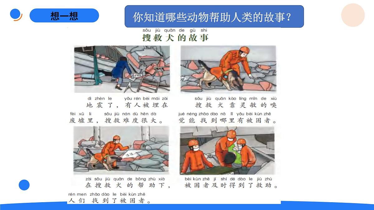 1-4动物和我们第5页