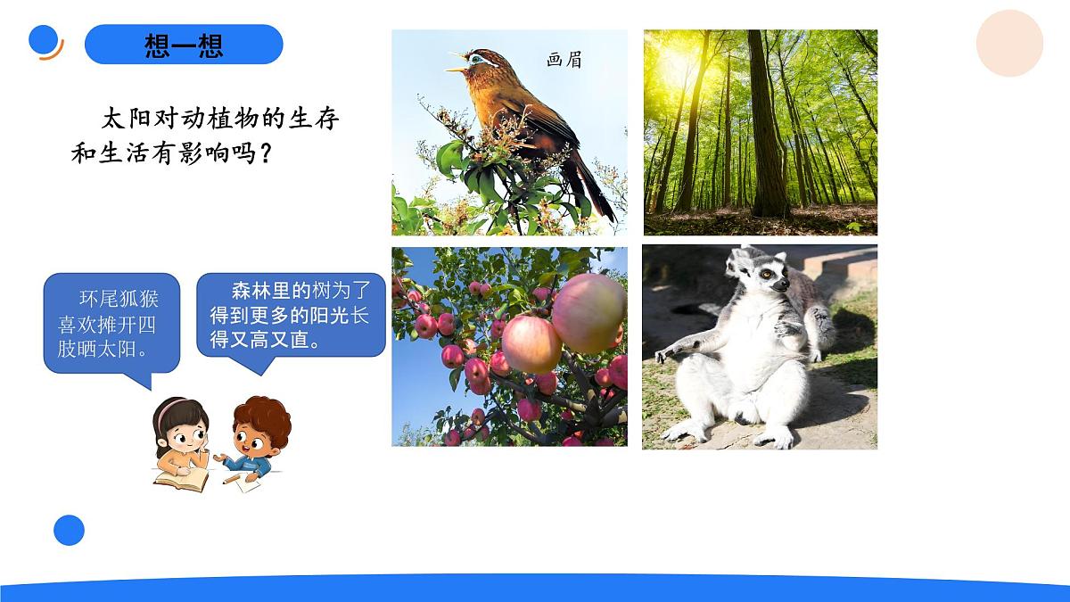 2-5发光发热的太阳第5页