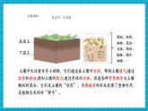 【新教材新课标】苏教版科学三年级上册1.3《肥沃的土壤》教学课件+教学设计（表格式）