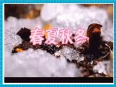 【新教材核心素养】青岛版科学六三制二年级上册2.6《春夏秋冬》教学课件+教学设计+分层练习含答案