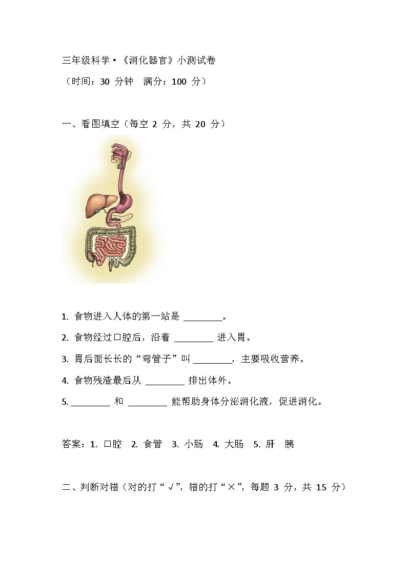 4.13消化器官同步训练带答案（人教鄂教版小学科学三年级上册）第1页