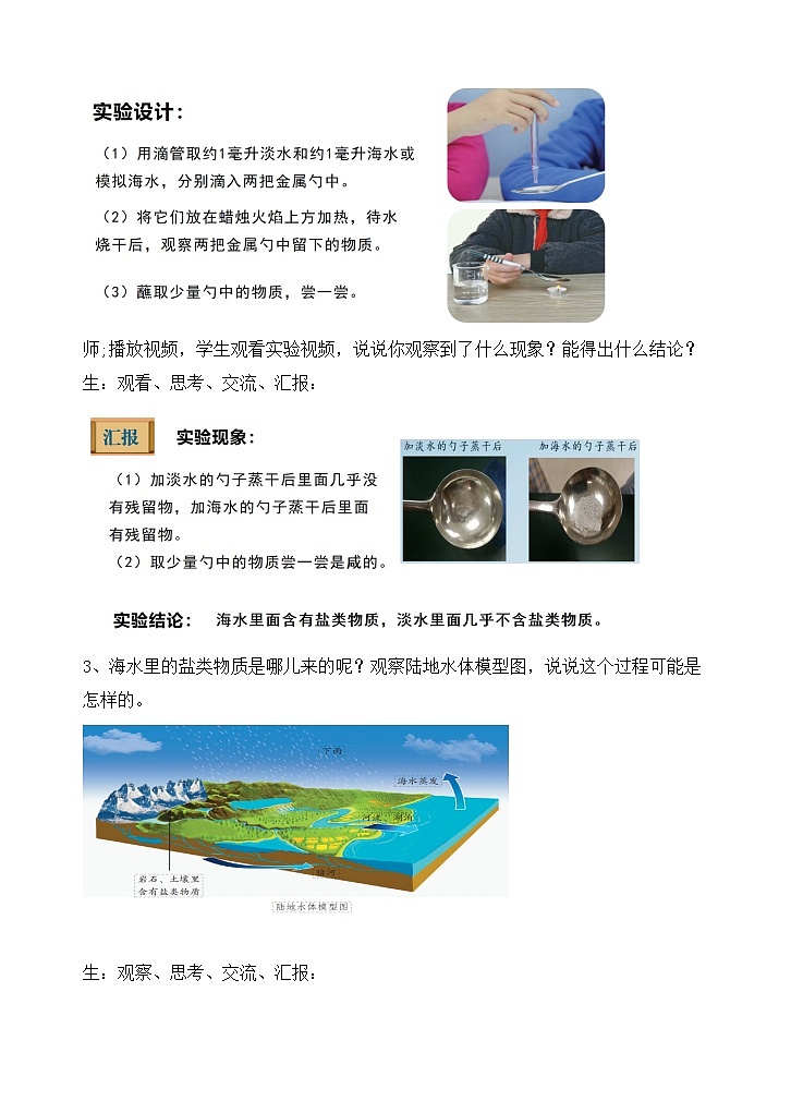 《11 海洋》 （教案）2025-2026学年苏教版三年级科学上册第3页