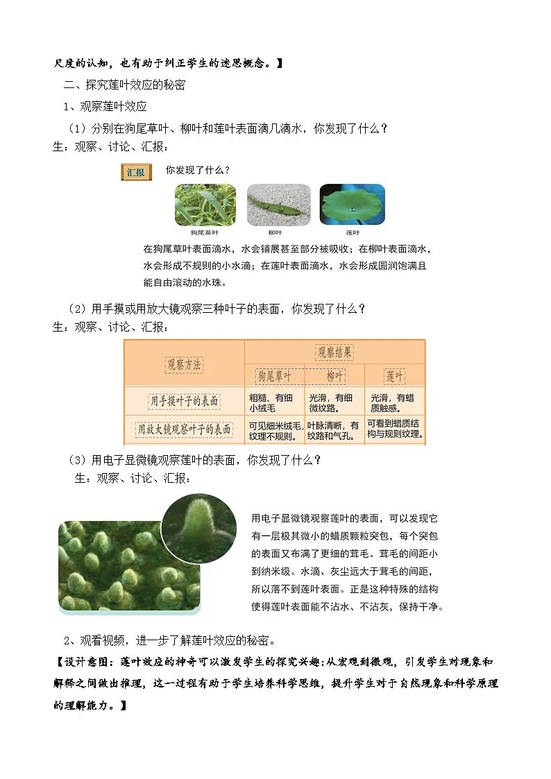 《20 纳米材料》教案 2025-2026学年苏教版三年级科学上册第2页