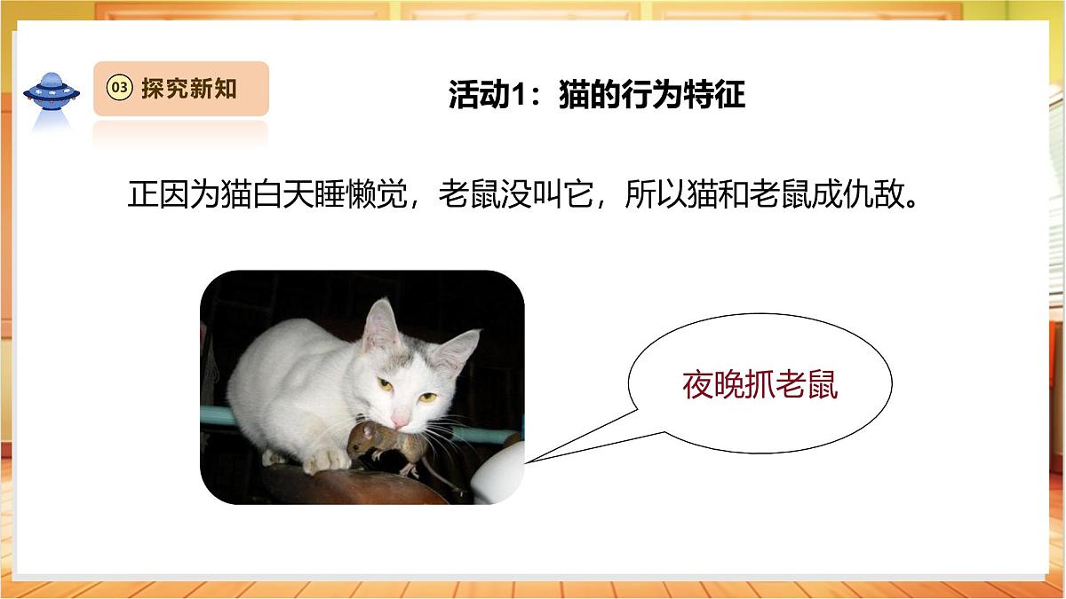 2.1《猫的生活》课时课件第8页
