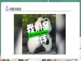 【核心素养】大象版三上科学  体验单元：大熊猫是猫科动物吗（教学课件+表格式教案+分层作业含答案）