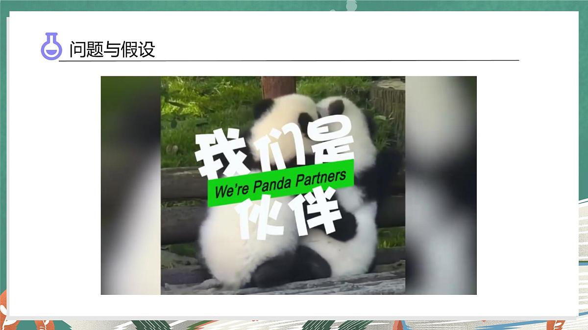 体验单元：大熊猫是猫科动物吗（教学课件）科学大象版三年级上册（新教材）第5页
