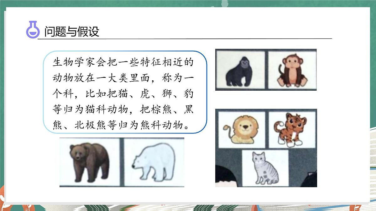 体验单元：大熊猫是猫科动物吗（教学课件）科学大象版三年级上册（新教材）第6页