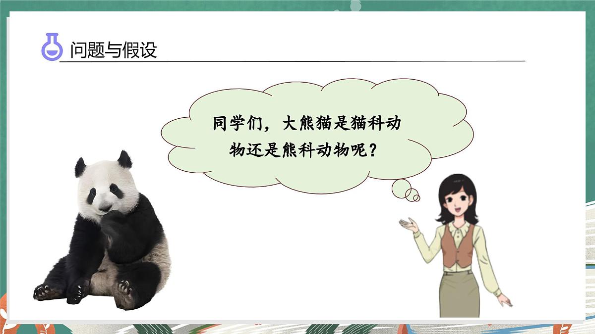体验单元：大熊猫是猫科动物吗（教学课件）科学大象版三年级上册（新教材）第7页