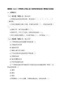 小学教科版（2024）2.各种各样的运动测试题