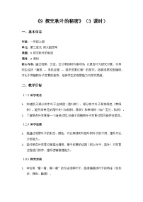 苏教版（2024）一年级上册（2024）探究秋叶的秘密教学设计