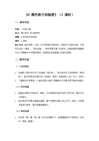 苏教版(2024)一年级上册(2024)探究秋叶的秘密教学设计