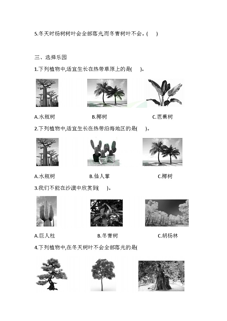 苏教版三年级科学下册5 不同环境里的植物 一课一练（含答案）第2页