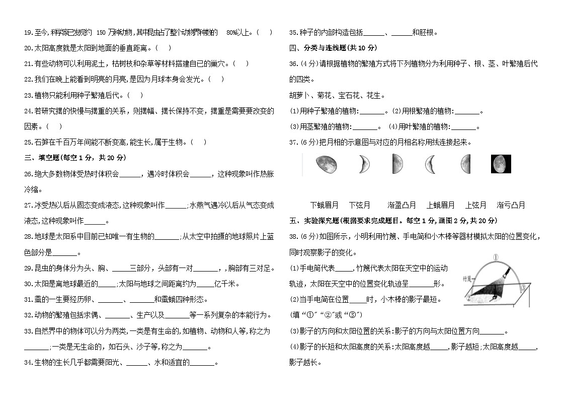 苏教版小学科学四年级下册期末试题二（含答案）第2页
