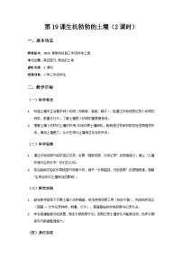 小学科学粤教粤科版（2024）三年级上册（2024）第19课 生机勃勃的土壤精品教案