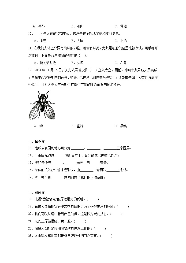 教科版（2017秋）五年级上册科学期末测试卷（含答案）第2页